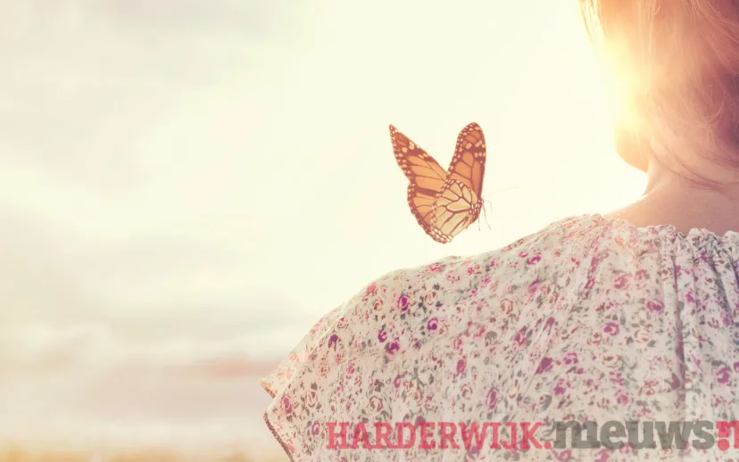 ontwerp zonder titel 71