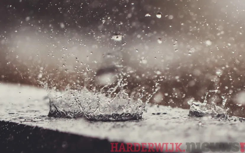 ontwerp zonder titel 77