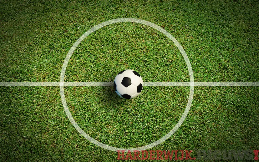 ontwerp zonder titel 79