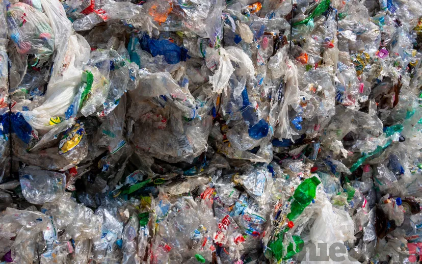 ontwerp zonder titel 8 1