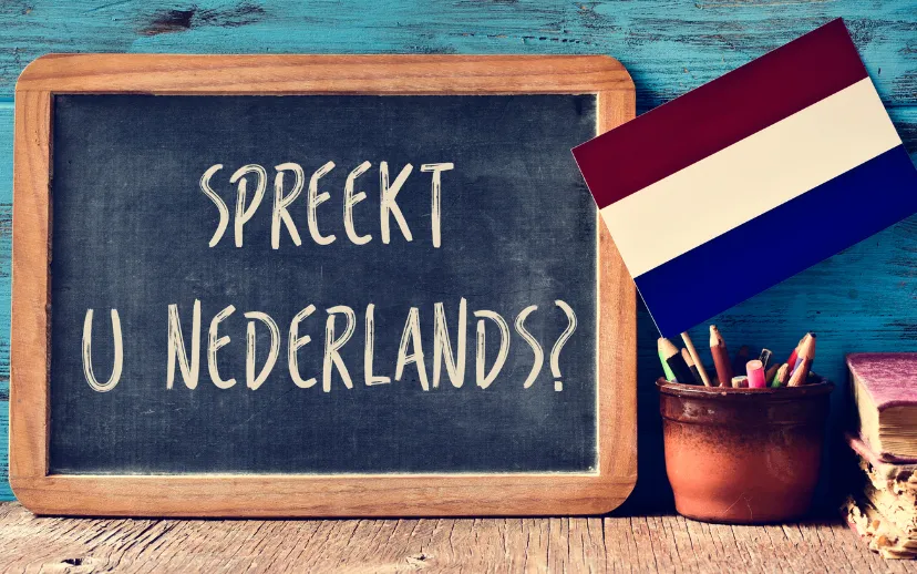 ontwerp zonder titel 81