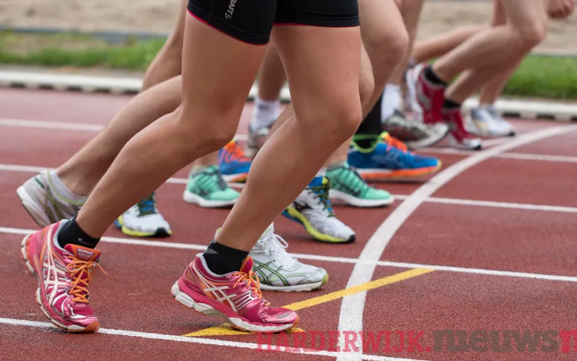 ontwerp zonder titel 86