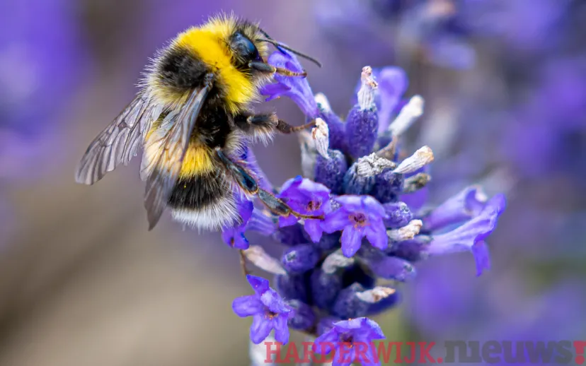 ontwerp zonder titel 87