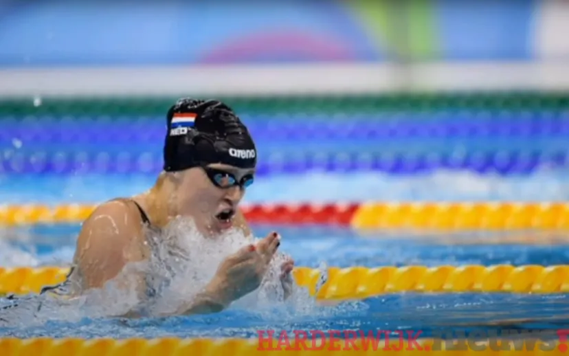 ontwerp zonder titel 91