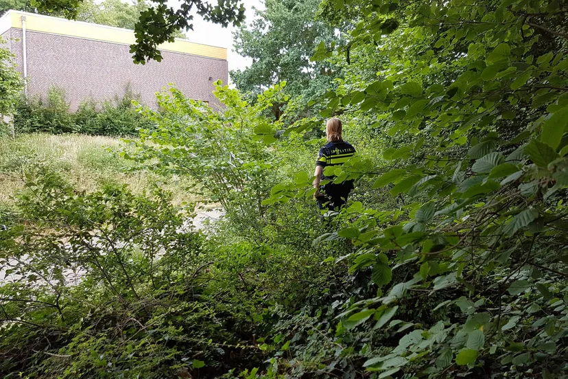 politie stadsweiden bosjes snoeproute