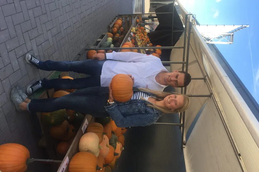 pompoenen e1473100911273