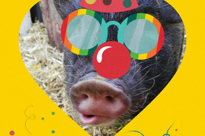 popcorn aardbei fb popcorn time 10