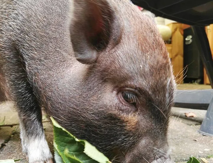 popcorn blog facebook 2