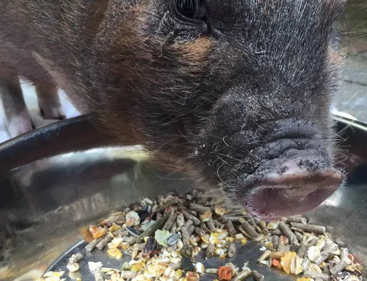 popcorn blog facebook