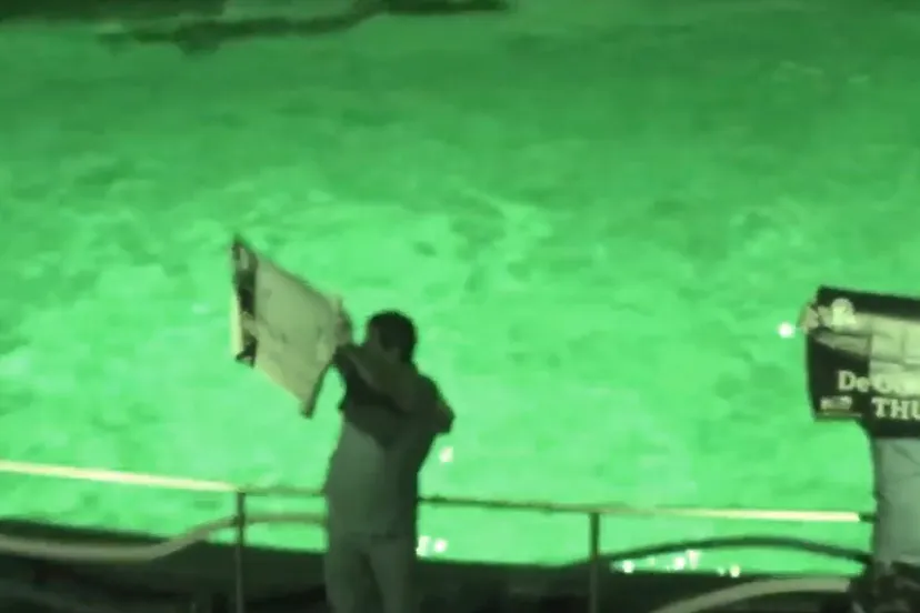 protest dolfinarium 1