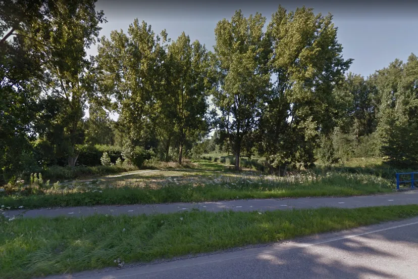 rietweg lelystad naaktloper bos google street view
