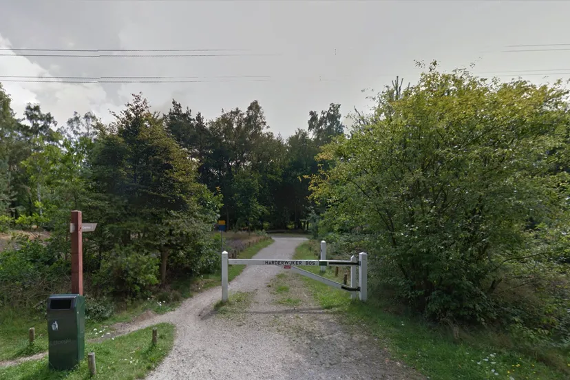 trimbaan cooperbaan harderwijker bos google street view