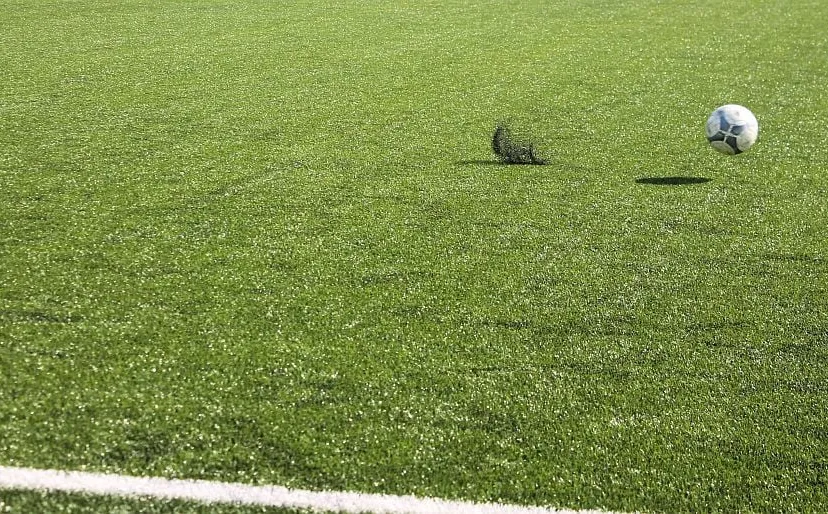 voetbal lijn stuiter grasveld eigen foto