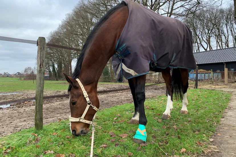 wanette 27 december veel complicaties