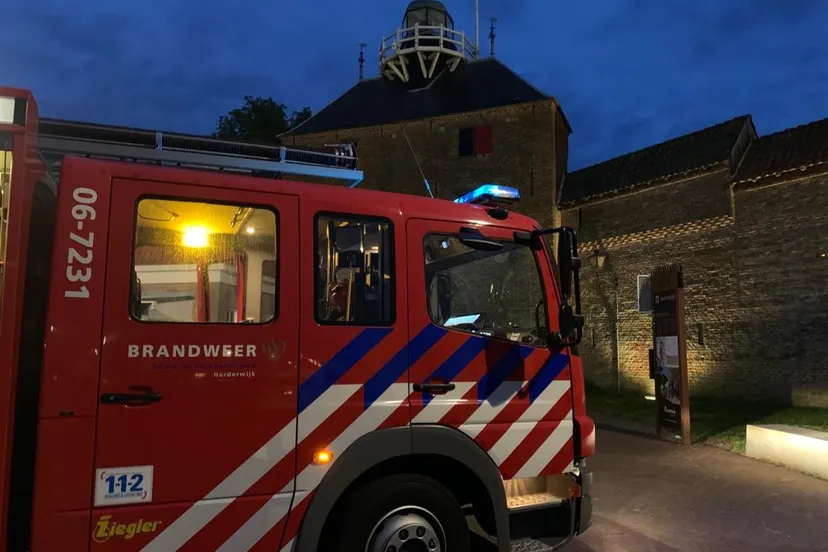 whatsapp image 2020 05 25 at 054239 2