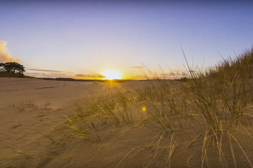 zandverstuiving film kloekke veluwe natuur still