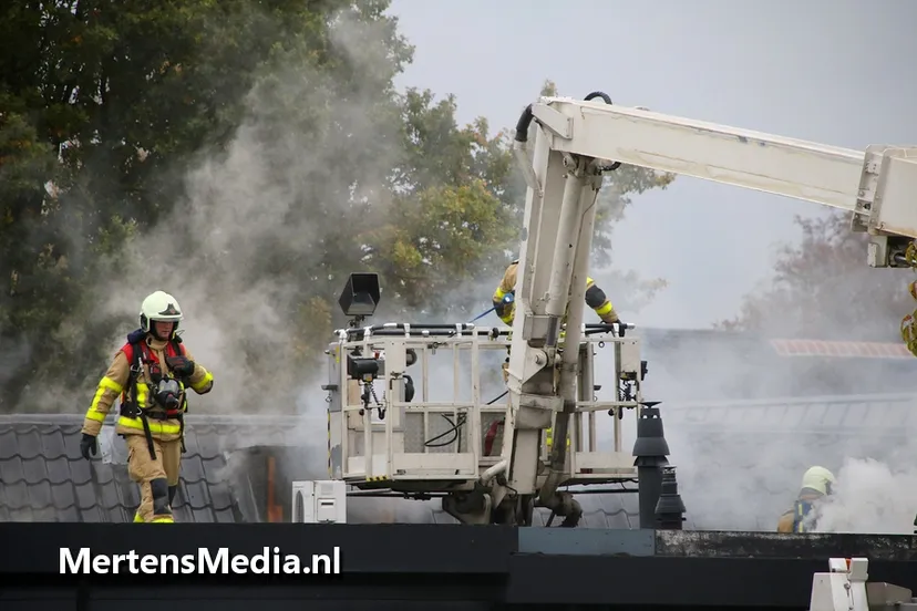 zwaluwhoeve brand 3 roy mertens