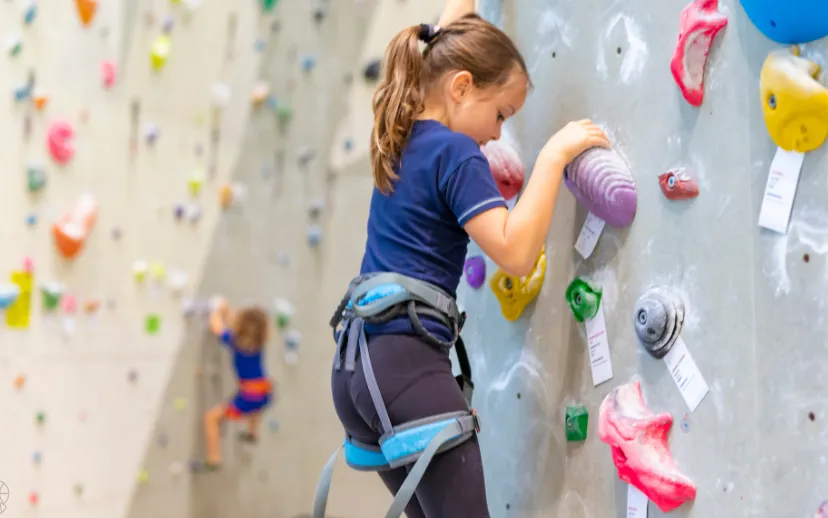 ontwerp zonder titel 2024 09 04t095744006