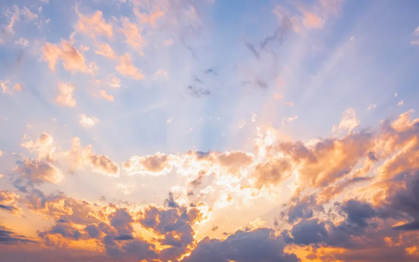 ontwerp zonder titel 2024 09 16t110341081