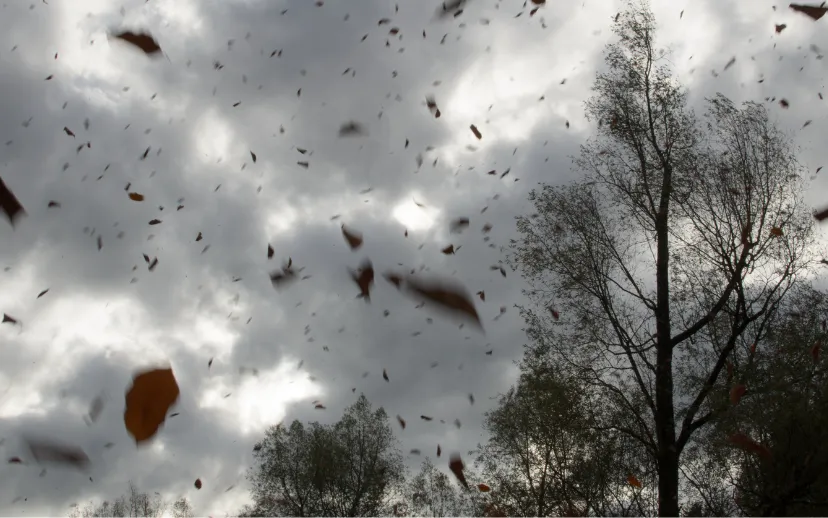 ontwerp zonder titel 2024 09 26t104628248