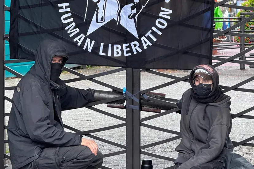 afbeelding van whatsapp op 2024 10 20 om 093131 550c1fca