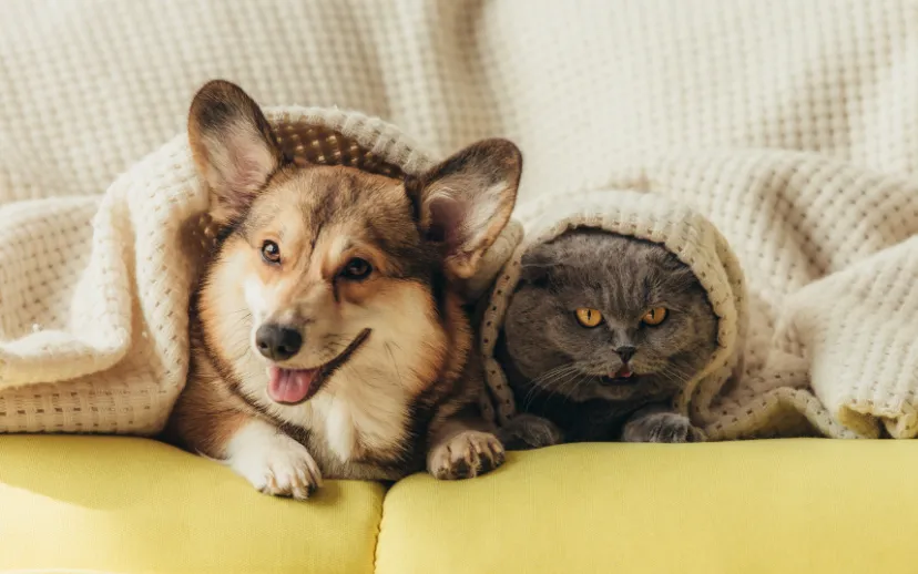 ontwerp zonder titel 2024 10 04t115015591