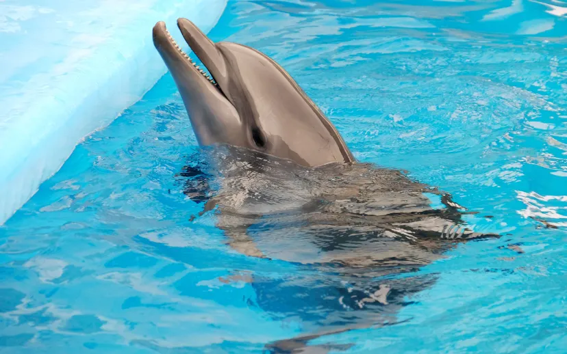 ontwerp zonder titel 70