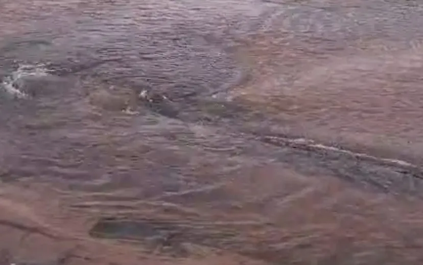 ontwerp zonder titel 74