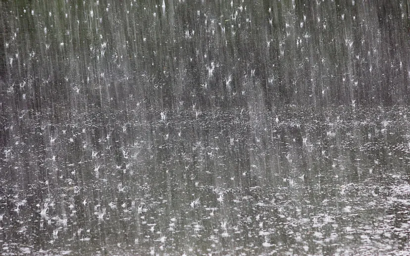 ontwerp zonder titel 84