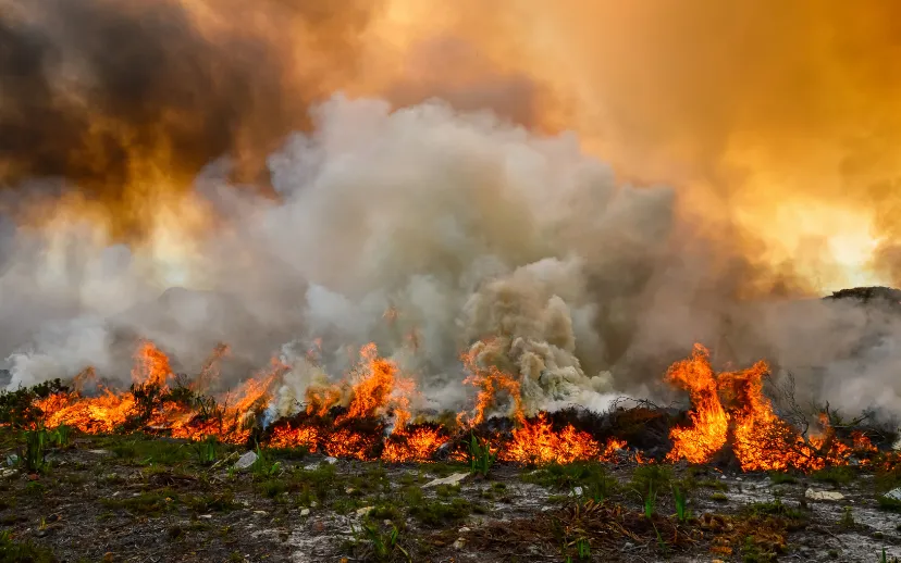 Ontwerp zonder titel (3)