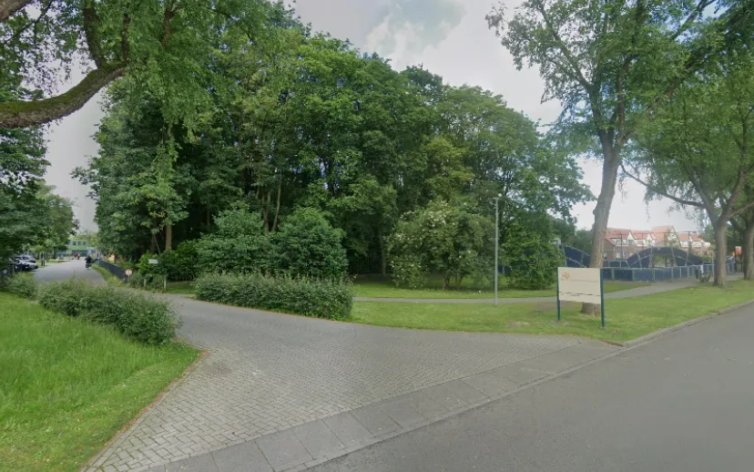 Ontwerp zonder titel 6