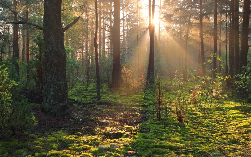 Ontwerp zonder titel (4)