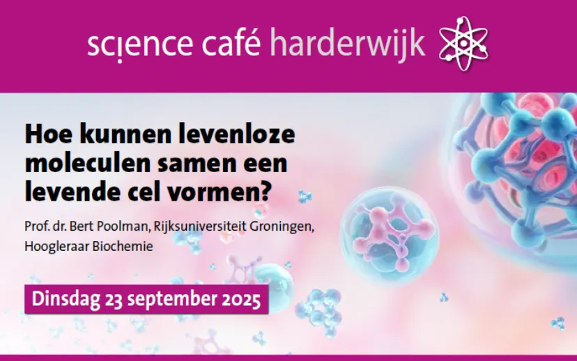 Ontwerp zonder titel (6)