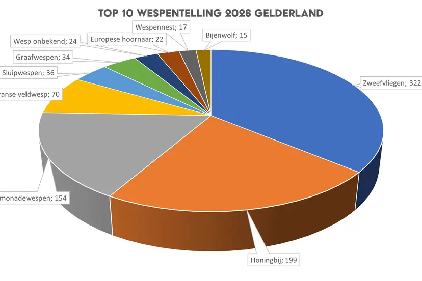 Top 10 Nationale Wespentelling 2026 in Gelderland