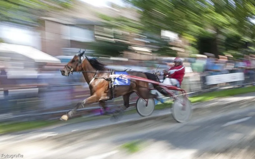 10669142 873593979319222 1427329876927946910 o 915x518 1