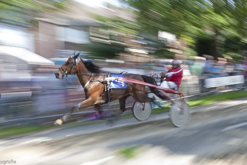 10669142 873593979319222 1427329876927946910 o