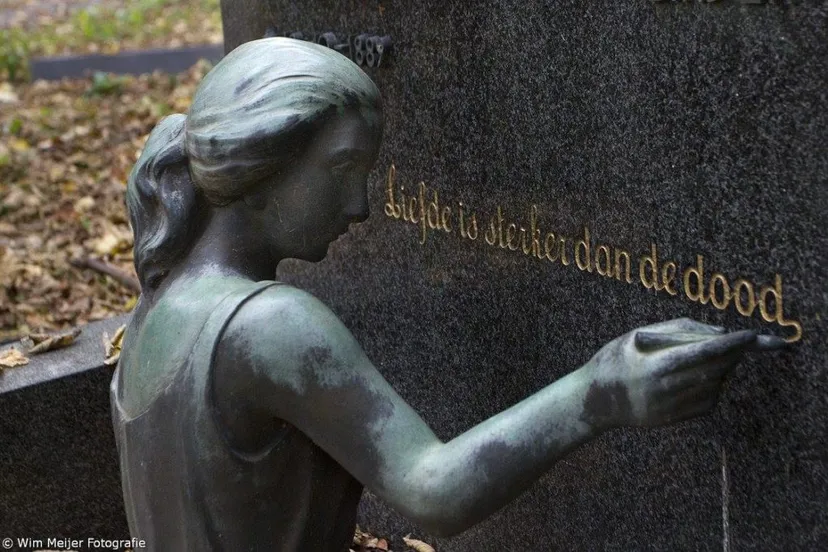 12186828 1121875697824381 9049806941100699458 o 1024x683