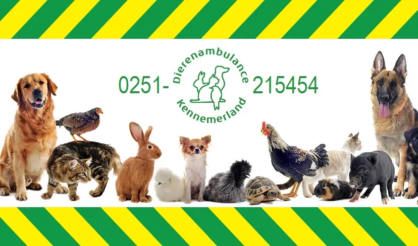 16462904 1259291084149331 8193369260458123181 o