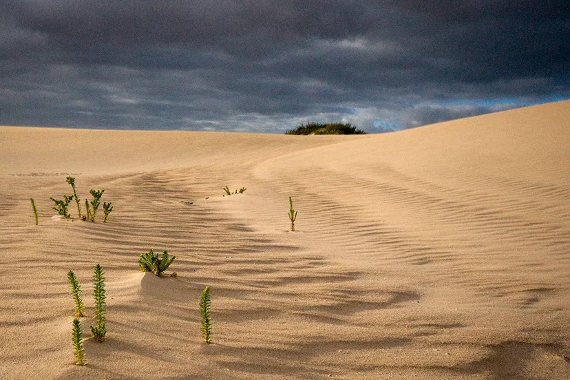 2016 09 18 0083 pb juli 2017 frw