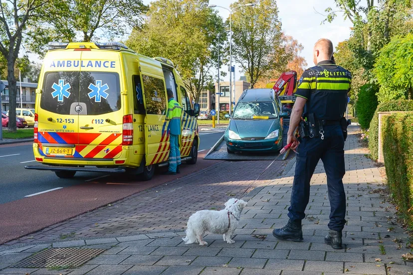 20161023 heemskerk1024 3