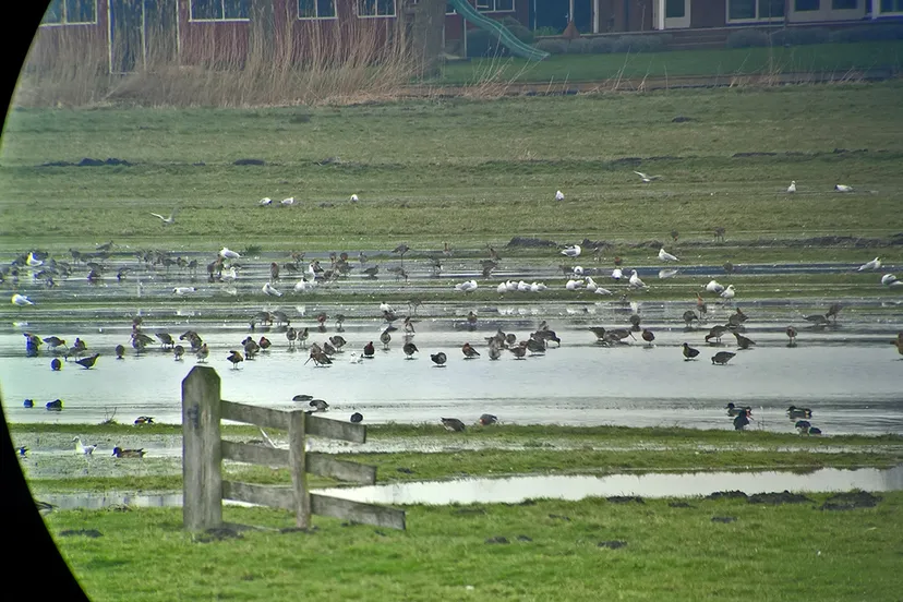 2017 inundatieweekend maart 16 sabine van keulen