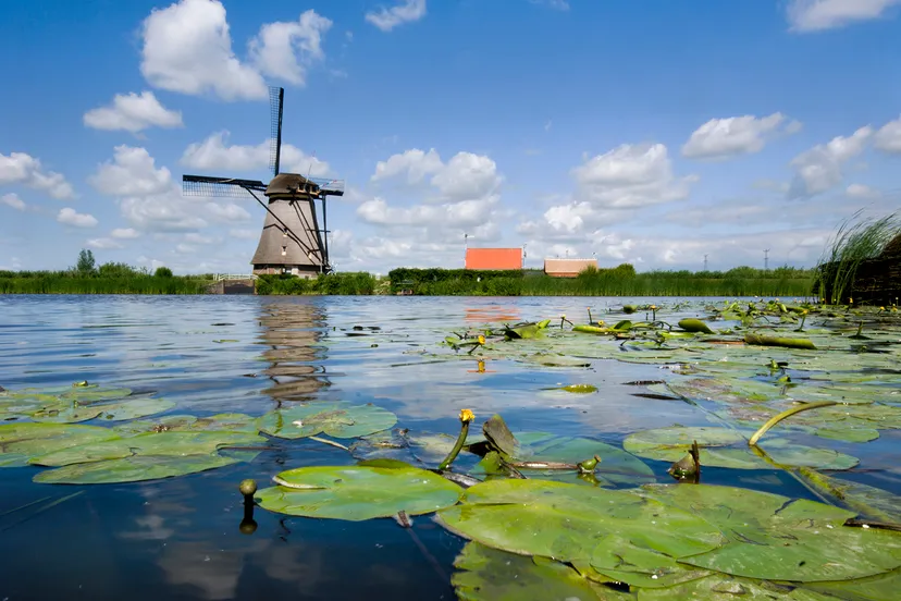 2018 06 30 kinderdijk 4