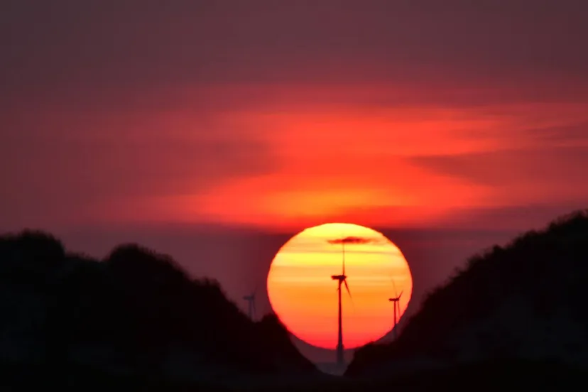 37511961 10217380178563569 3924634797464354816 o