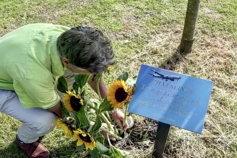 377444w1600r16 954ccc9cq90