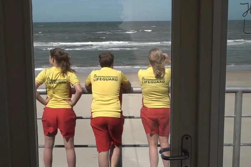 377890w1600r16 97c1f4e7q90