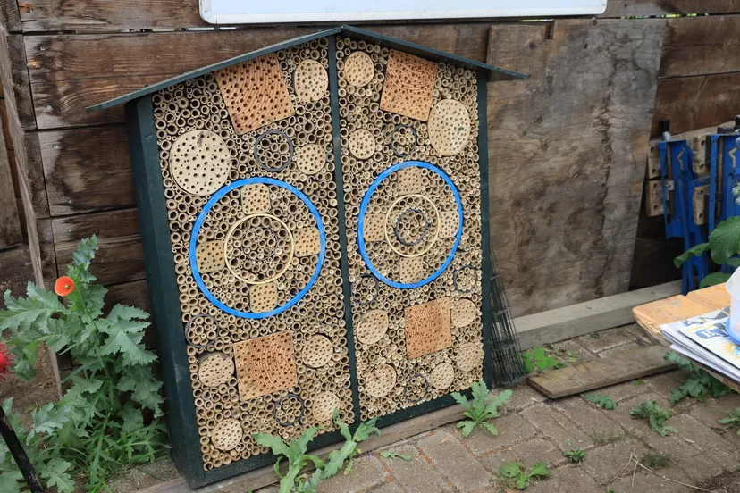 3z1a0732 insectenhotel wim meijer fotografie