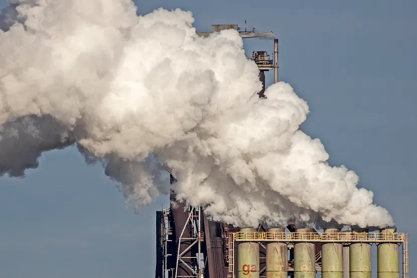 3z1a4866 fijn stof wmf