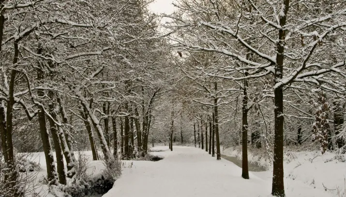 4240077971 9f9911c70c b 715x408