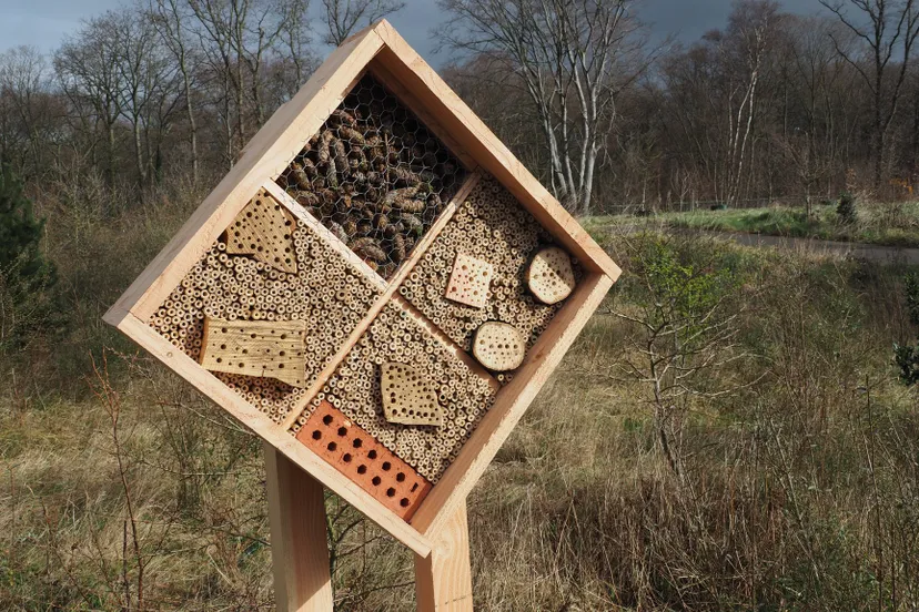 53480561 1053829124826957 6153489744803135488 o