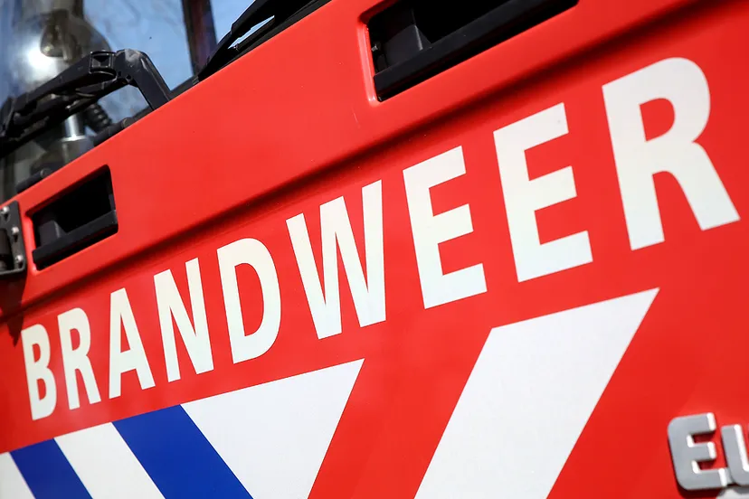 5i5a3805 wim meijer fotografie